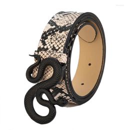 Belts 2022 Fashion Luxury Designer Brand Snake Pin Buckle Men Belt High Quality Women Leather Dress Strap For Jeans Waistband3265152