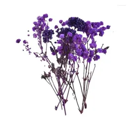 Decorative Flowers Colorful Dried Dry Floral Bouquet Crafting Supplies For Scented Candles Make Scrapbook