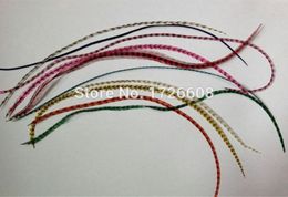 10pcslot 1535cm natural colors hair feathers 100 real grizzly thin rooster Individual feather hair extensions1725319