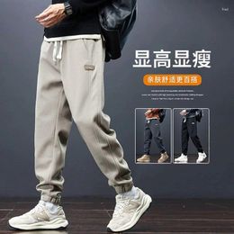 Men's Pants Sports Spring Autumn Winter 2024 Japanese Trendy Plush Casual Tie Feet Drawstring Guard