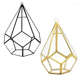 Bottles Hanging Glass Terrarium Modern Artistic Wall Tears Shape Diamond Geometric Polyhedron Air Plant Holder Desk Planter DIY Vase Pot