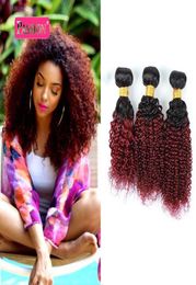 Brazilian Ombre Human Hair 3 Bundles Two Tone 1B99j Burgundy Kinky Curly Human Hair Weave Colored Brazilian Human Hair Extensions1458862