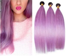 Black and Light Purple Ombre Virgin Brazilian Human Hair Weave Bundles 3Pcs Silky Straight 1BPurple Ombre Human Hair Weft Extens6455694