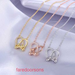 Family T Double Ring Tifannissm Necklace S925 sterling silver double ring necklace for women light luxury and collarbone chain