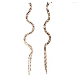 Stud Earrings Luxury S-Curve Serpentine Two Layer Shiny Zircon Stainless Steel Woman Unique Exaggerated Quality Party Jewellery