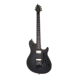 Eevee Guitar USA Stealth Black as same of the pictures