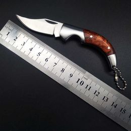 Steel Handle Mini Folding Fruit Knife High Hardness Portable Stainless Keychain (Unlocked)