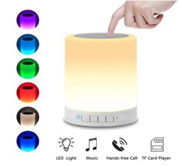 Night Lights LED Light Portable Table Bedside Lamps Rechargeable Warm White And Colour Changing RGB Smart Touch Colourful Lamp5490383