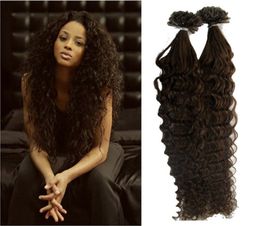 4 Dark Brown Brazilian Deep curly U Tip Nail Tip Hair Extensions 100gstrands Remy Human Hair Keratin Fusion Hair Extensions2530930