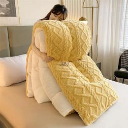 Blankets Single Double Quilt For Student Dormitory Winter Faced Cashmere Thickened Warm Core Blanket