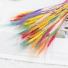 Decorative Flowers 25/30PC Natural Wheat Ears Colourful Wedding Artificial Bouquet For Boho Garden Easter Tail Grass Fake FlowersDecor