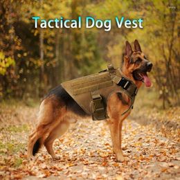 Hunting Jackets Tactical Dog Harness Training Cs Shooting Walking Service Vest Working Adjustable Wargame Hiking Military Pet Vests