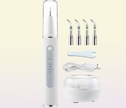 Ultrasonic Dental Electric Teeth Plaque Calculus Remover With HD Camera Oral Tooth Tartar Cleaner Stains Removal 2202283914201