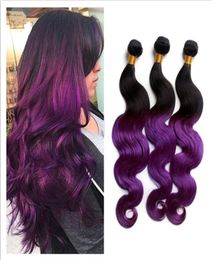 Virgin Malaysian Human Hair 1B Purple Two Tone Hair Bundles Body Wave Wavy Dark Roots Purple Ombre Malaysian Hair Wefts Extensions9933591