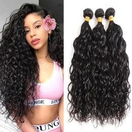 Wefts Brazilian Virgin Hair 3 Bundles Peruvian Indian Malaysian Water Wave Wet And Wavy Natural Colour Human Hair Weaves