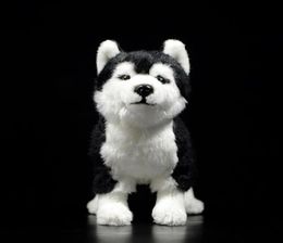 25CM Siberian Husky Dog Plush Toy W BrownBlue Eyes Lifelike Alaskan Malamute Stuffed Animal Toys Christmas Gifts LJ2011265480452