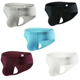 Underpants 3Pcs Sexy Men's Small Boxers Briefs Modal Low RIse Male 5 Colours M207