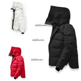 Men's Outerwear Coats fashion designer jacket Windbreaker Cross-border short down jacket men's and women's jackets zipper large pockets windproof jacket thick z6