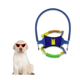 Leashes Pet Safe Halo For Blind Dogs Anticollision Ring Scorpion Cataract Animal Protection Circle Guide Dog Y200515