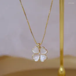 Pendants 14k Real Gold Plated Jewellery Exquisite Leaf Clover Shape Simple Clavicle Chain Short Necklaces For Woman Shine Holiday Necklace