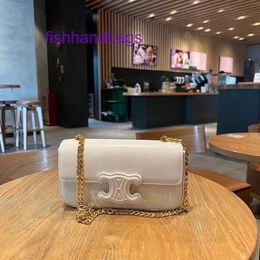 Designer Celinss Tote bags for women online store This years popular Arc de macaron bag small square single shoulder underarm casual solid color horizont With Real