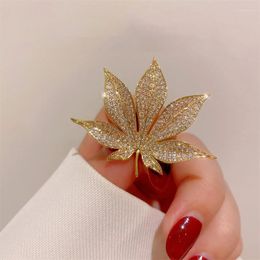 Brooches Metal Rhinestone For Women Fashion Elegant Versatile Clothing Accessories Safety Pins