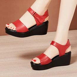 Sandals Small Plus Size 32-43 Summer Platform Wedges 2024 Casual High Heels Shoes Women For Office Mother Beach