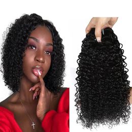 Wefts Brazilian Kinky Curly Human Hair 3/4 Pcs bundles Brazilian Human Hair Curly Bundles Cheap curly human hair extension natural Colour