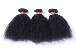 Afro Kinky Curly Virgin Human Hair Weave Extensions Unprocessed Brazilian Human Hair Afro Curly Bundles Deals Double Wefted 3Pcs L7527780