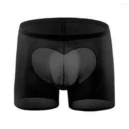 Underpants 1pc Sexy Men's Boxers Shorts See Through Mesh Boxer Briefs Low Rise Pouch Panties Breathable Lingerie Underwear
