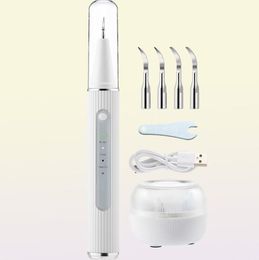 Ultrasonic Dental Electric Teeth Plaque Calculus Remover With HD Camera Oral Tooth Tartar Cleaner Stains Removal 2202287453677