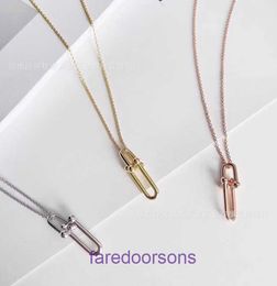High Quality Tifannissm Stainless Steel Designer Necklace Jewellery T Family 925 Sterling Silver shaped Bamboo Link Chain Pendant Collar Have Original Box