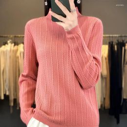 Women's Sweaters Boutique High-end Sweater Knitted Cashmere Half High Collar Pullover Long Sleeved