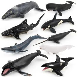 Toys Whale Model Toy, 9 Solid Model Marine Animals, Big Size High Simulation, for Kid Cognitive Teaching, Kid Gift, Ornament Orcinus Or