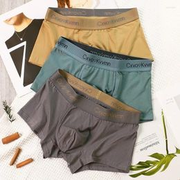 Underpants Simple Boxers Men's Underwear Fashion And Comfortable Four Corners Short Shorts Summer Cotton Breathable Youth Trend