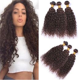 Wefts Dark Brown Peruvian Curly Human Hair Weave Bundles 3Pcs 300Gram Pure 4 Colour Kinky Curly Human Hair Extensions Chocolate Brown Hai