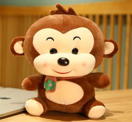 23304050cm Lovely Monkey Plush Toys Kawaii Hugging Dolls Stuffed Soft Animal Monkey with Scarf Home Decor Gift for Children Q079652823