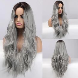 Wigs ALAN EATON Long Wavy Silver Gray Ash Wigs with Highlights Middle Part Synthetic Hair Wigs for Women Cosplay Party Heat Resistant