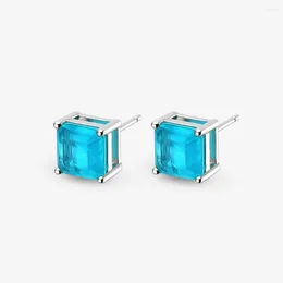 Stud Earrings Models Vintage 925 Sterling Silver ParaibaTourmalineGemstone BirthstoneEar Studs Ladies Fine Jewelry Wholesale