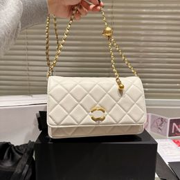 5A Designer Purse Luxury Paris Bag Brand Handbags Women Tote Shoulder Bags Clutch Crossbody Purses Cosmetic Bags Messager Bag S547 09