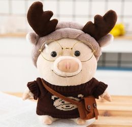 New Arrival Childrens Ins Cute Stuffed Animals Pretty Hooded Pig Doll With Glasses And A Bag Kids Plush Toy For Birthday Party Gif2898732