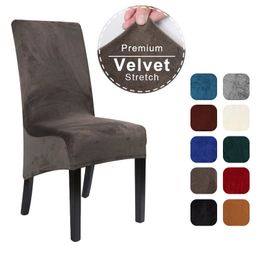 1/2/4/6 Pcs Velvet XL Size Long Back Chair Cover Spandex Dining Chair Slipcover Large Elastic Stretch Case for Kitchen Banquet 240104