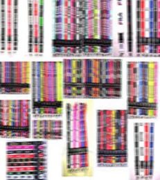 500 styles whole new popular sports straps Keychain Key Chain ID Badge cell phone holder Neck lanyard 1000pcs5916629
