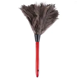 Decorative Flowers Ostrich Cleaning Feather Duster Soft Feathers From Furniture To Fan Blades Of