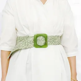 Belts European And American Women's Woven Waistband Minimalist Belt Summer PP Grass Fashionable Versatile Accessory