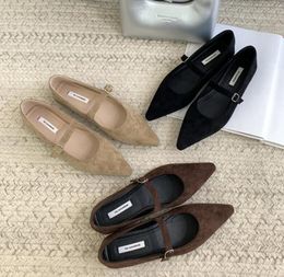 Spring New Pointed Toe Women Flat Shoes Fashion Mix Color Ladies Eelgant Mary Jane Shoes Female Shallow Ballerinas Shoes 873-1