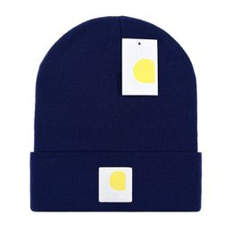 2024 Hot Selling Winter Knitted Beanie Mans and Womans Casual Hats Thick Warm Knit Hats Fall Pure Wool Cap Unisex Warm hat GZ04