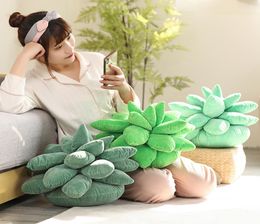 2545cm Lifelike Succulent Plants Plush Stuffed Toys Soft Doll Creative Potted Flowers Pillow Chair Cushion for Girls Kids Gift LA4049969