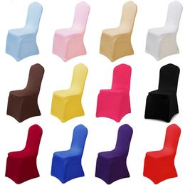 DD 100pcs Stretch Polyester Chair Cover Wedding el Chaircover Banquet Thickening Universal Spandex Dining Wedding Chair Cover 240104