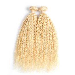 Wefts Brazilian Kinky Curly Hair 2 Bundles 100% Remy Human Hair NonRemy 200g 613 Bleach Blonde brazilian hair weave bundles